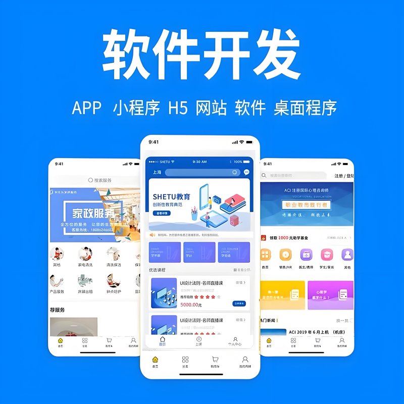 软件开发定制：构建企业专属的智慧翅膀